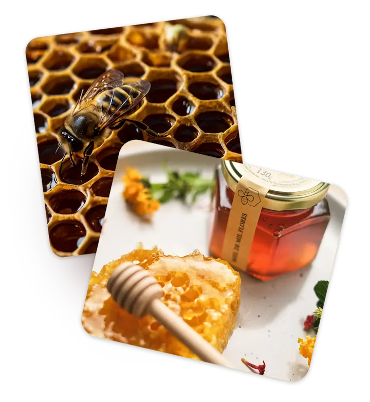 abejas crespomiel